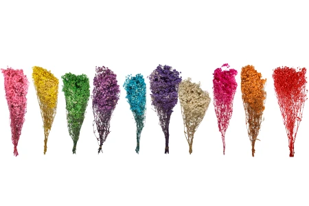 Suvo ukrasno cveće - buket od 100 gr-grupa_slika