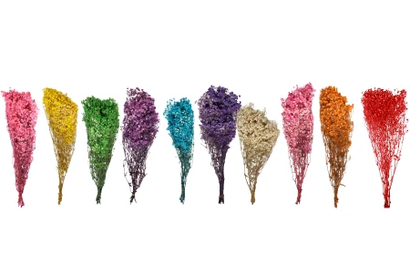 Suvo ukrasno cveće - buket od 100 gr-grupa_slika