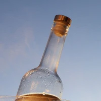 Silikonski čepovi